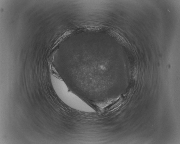 X0000081471298200702021822