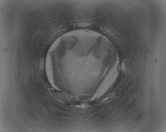 X0000081471299200702021822