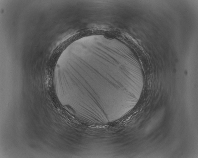 X0000081471303200702021822