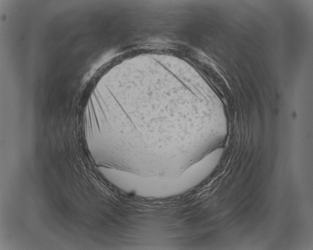 X0000081471304200702021822