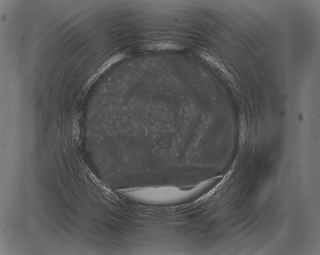 X0000081471305200702021822