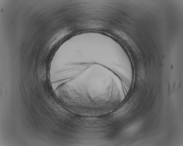 X0000081471306200702021822