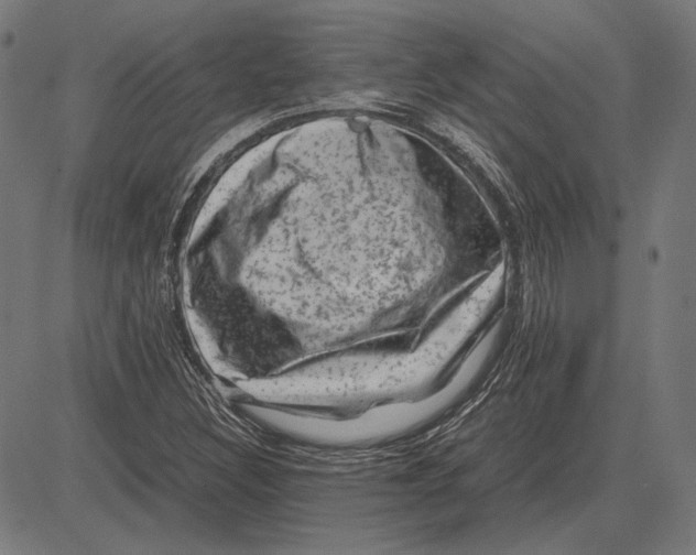 X0000081471308200702021822