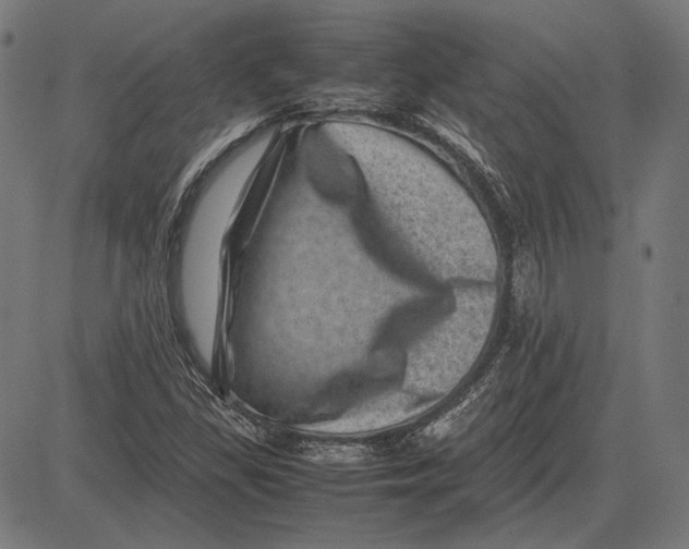 X0000081471309200702021822