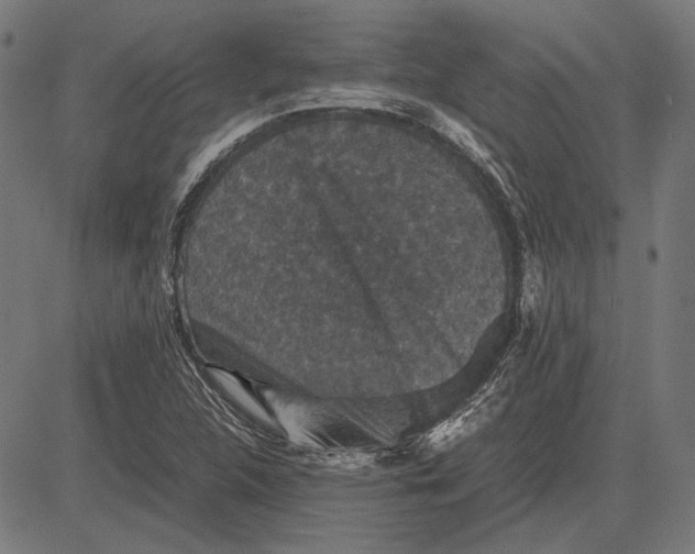 X0000081471312200702021822