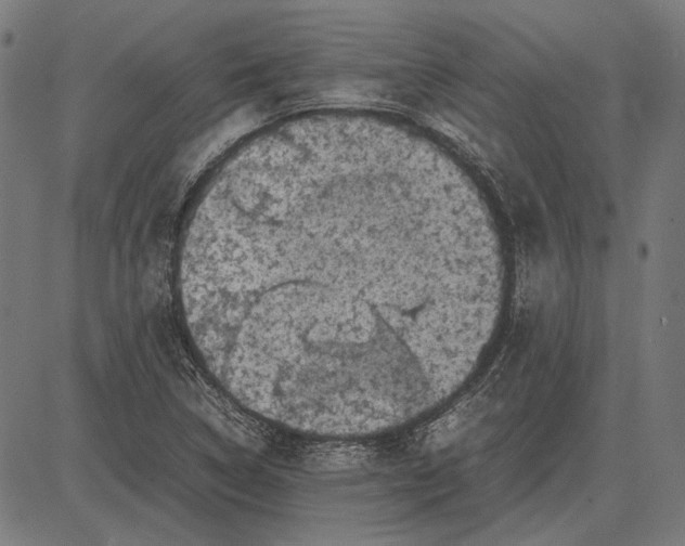 X0000081471314200702021822