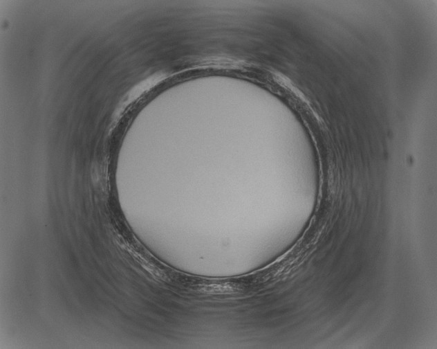 X0000081471315200702021822