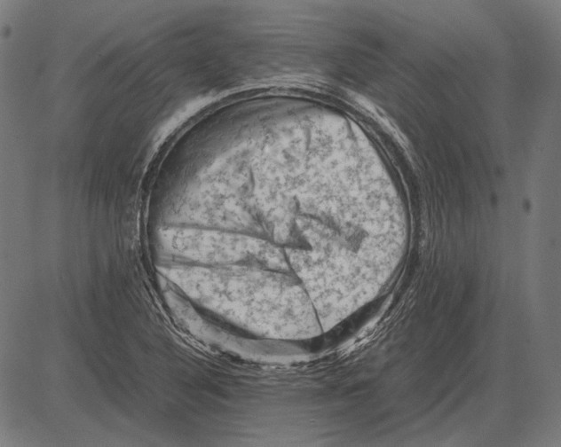 X0000081471316200702021822