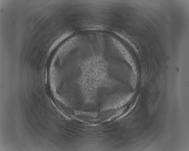 X0000081471317200702021822