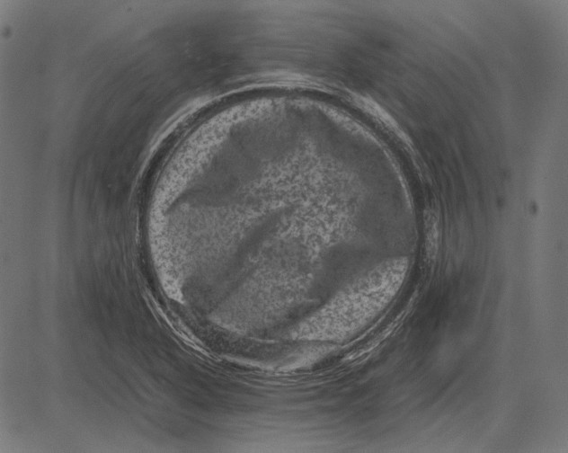 X0000081471318200702021822