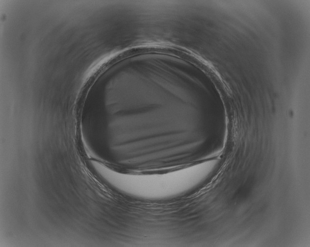 X0000081471319200702021822