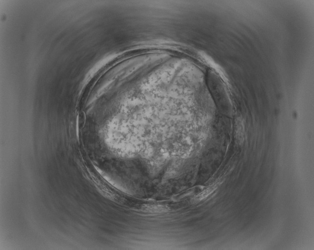 X0000081471320200702021822