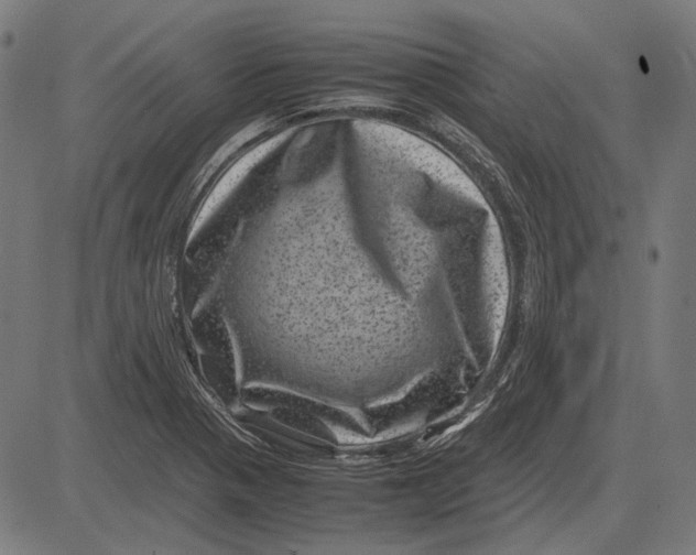 X0000081471321200702021822