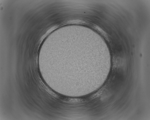 X0000081471322200702021822