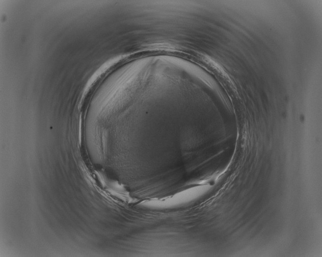 X0000081471323200702021822