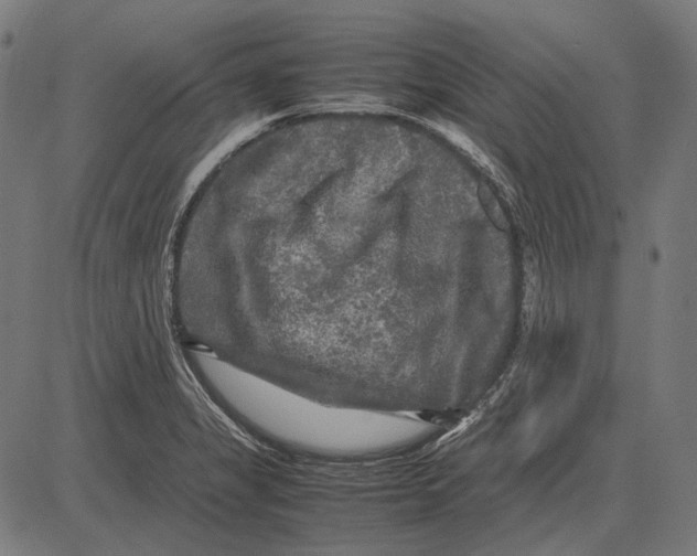 X0000081471325200702021822