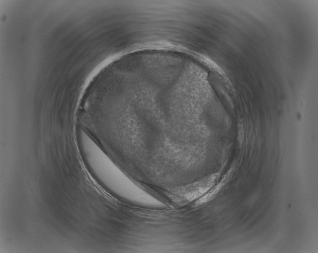 X0000081471326200702021823