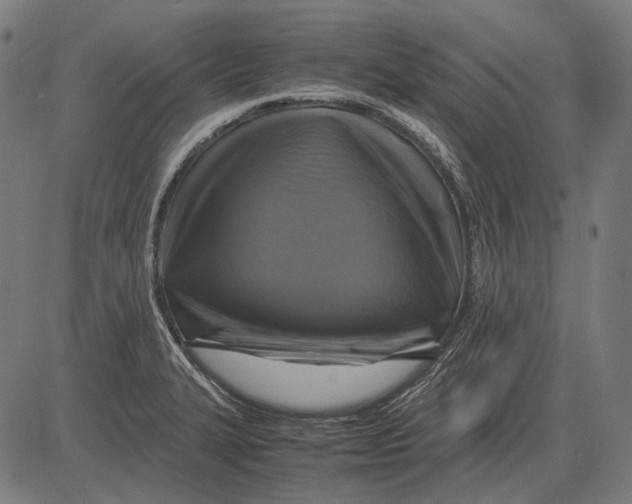 X0000081471327200702021823