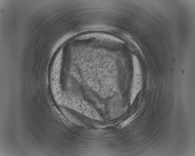 X0000081471328200702021823