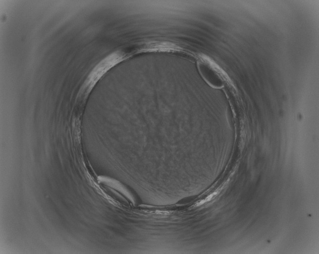 X0000081471329200702021823