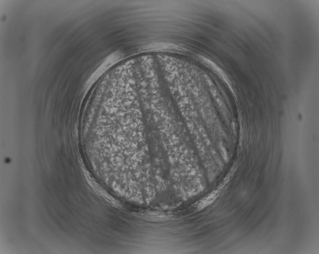 X0000081471330200702021823