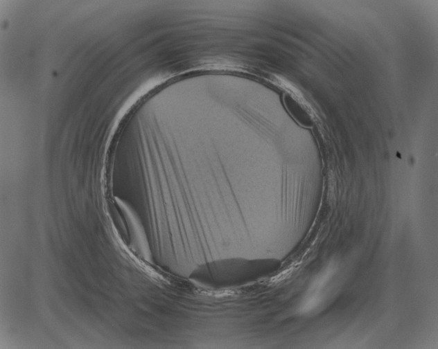 X0000081471331200702021823