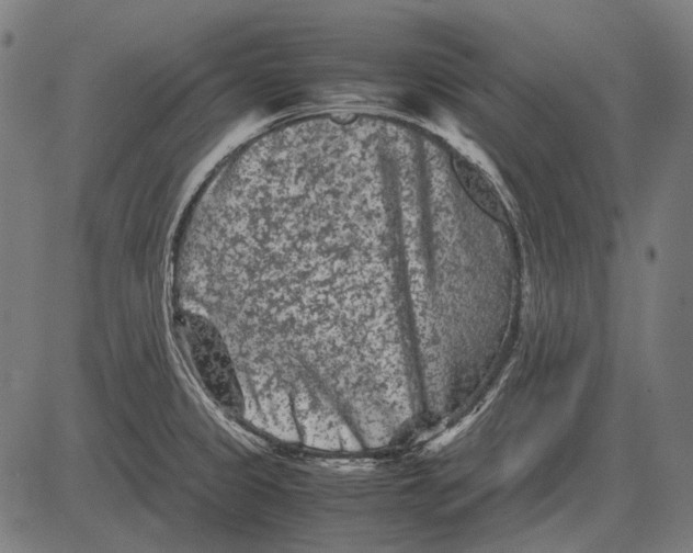 X0000081471333200702021823