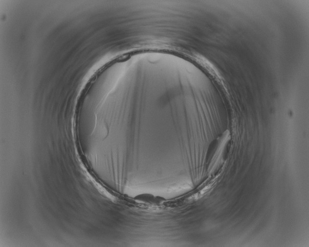 X0000081471334200702021823