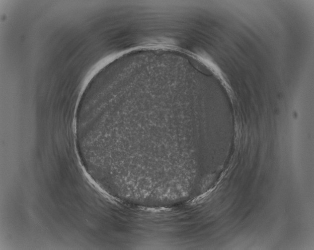 X0000081471335200702021823