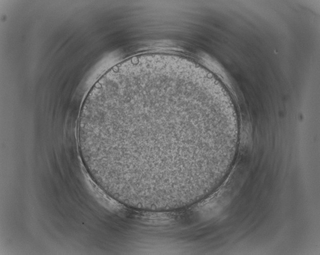 X0000081471338200702021823