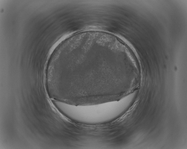 X0000081471341200702021823