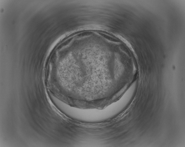 X0000081471342200702021823