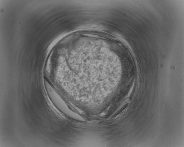 X0000081471344200702021823