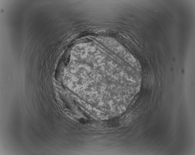 X0000081471345200702021822