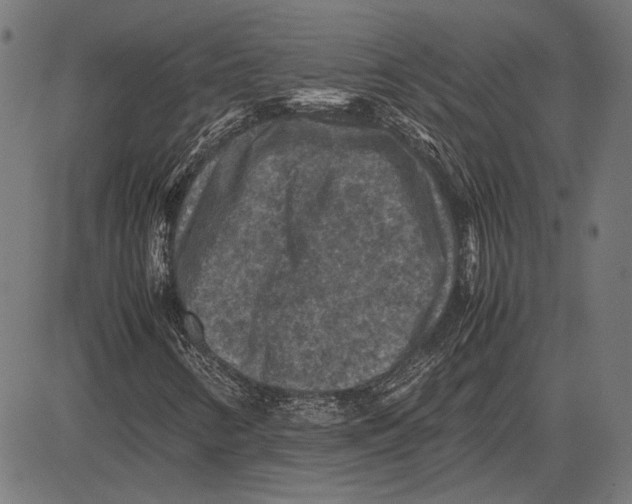 X0000081471346200702021822