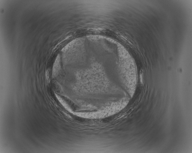 X0000081471347200702021822