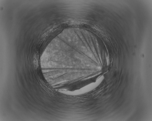 X0000081471348200702021822