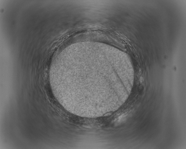 X0000081471349200702021822