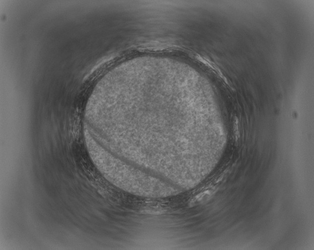 X0000081471350200702021822