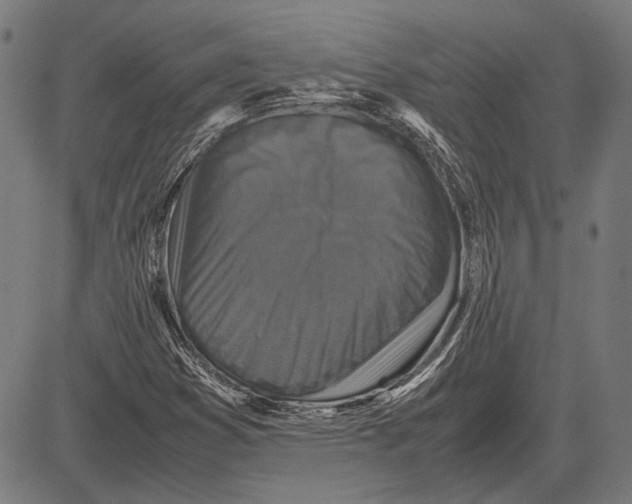 X0000081471353200702021822