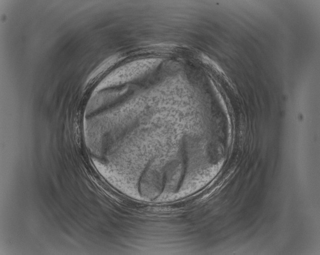 X0000081471354200702021822