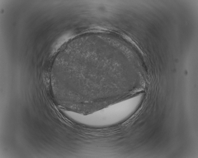 X0000081471355200702021822