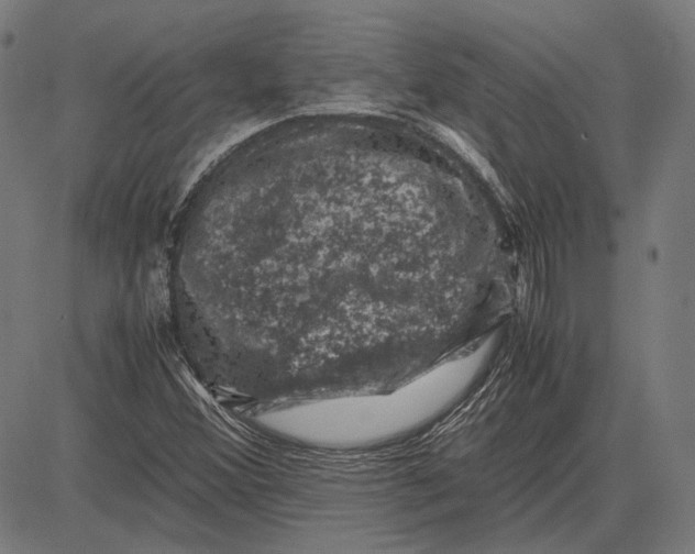 X0000081471356200702021822