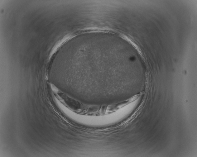 X0000081471357200702021822