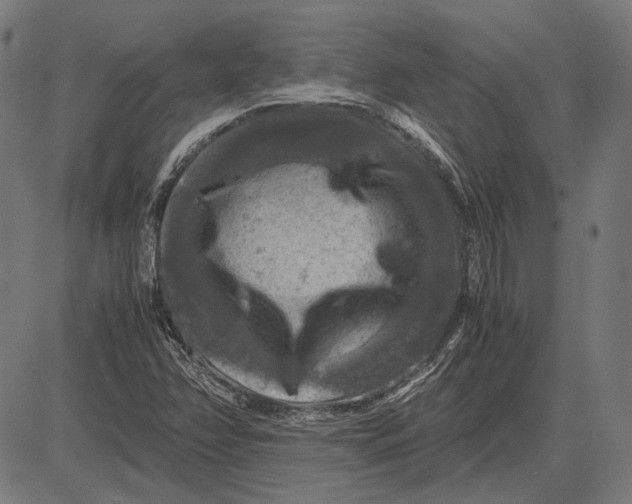 X0000081471358200702021822