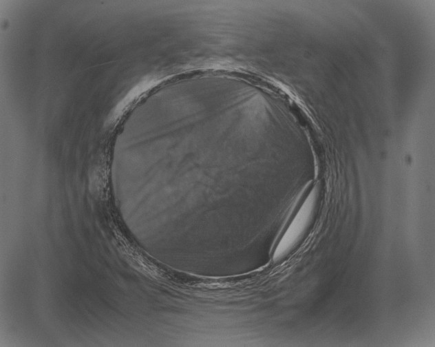 X0000081471359200702021822