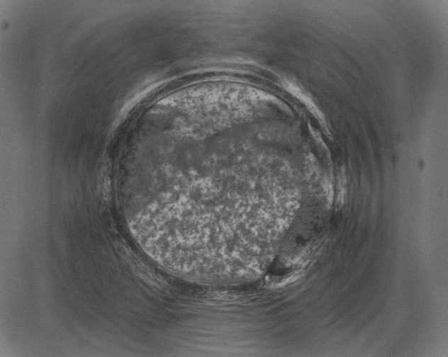 X0000081471360200702021822