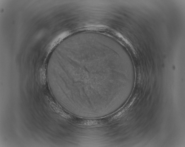 X0000081471362200702021822