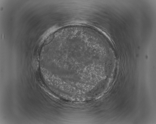 X0000081471363200702021822