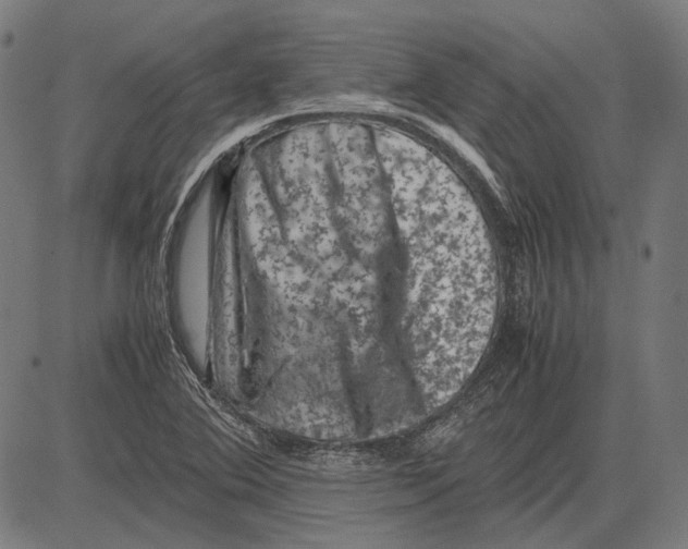 X0000081471364200702021822